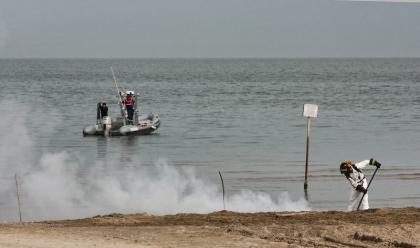 Immagine News - milano-marittima-ordigno-al-fosforo-trovato-in-spiaggia