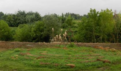 Immagine News - un-trebbo-vicino-largine-del-senio-per-parlare-del-fiume