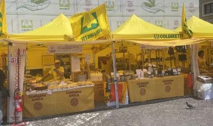 Immagine News - forl-sabato-14-c-giallo-street-food-un-viaggio-nel-gusto-romagnolo-con-i-prodotti-di-campagna-amica