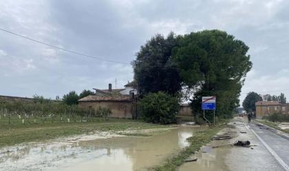 Immagine News - maltempo-in-romagna-a-bagnacavallo-sotto-controllo-boncellino-dramma-traversara