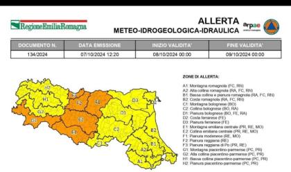 Immagine News - meteo-e-r-nuova-allerta-per-marted-8-soprattutto-in-emilia-per-piogge-e-piene-dei-fiumi