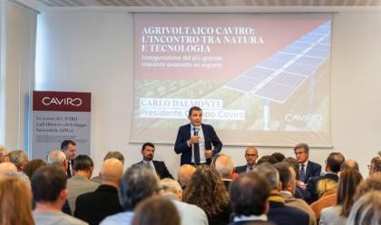 Immagine News - forl-il-gruppo-cooperativo-caviro-ha-inaugurato-il-pi-grande-impianto-agrivoltaico-in-italia