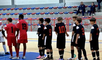 Immagine News - calcio-e-futsal-nasce-una-storia-collaborazione-tra-virtus-faenza-e-mernap