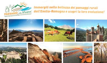 Immagine News - riolo-terme-paesaggi-da-vivere-la-mostra-paesaggio-rurale-visitabile-in-rocca-fino-12-novembre