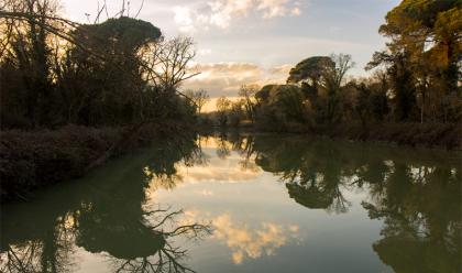 ravenna-autunno-in-pineta-passeggiate-e-cene-nella-pineta-san-vitale-il-9-16-23-e-30-novembre