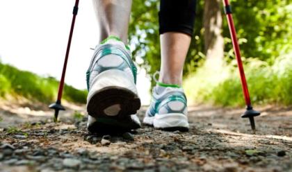 Immagine News - baskin-e-nordic-walking-ripartono-le-attivit-sportive-inclusive-in-bassa-romagna