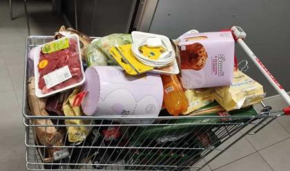 Immagine News - santarcangelo-59enne-cerca-di-rubare-un-carrello-pieno-di-generi-alimentari-denunciata