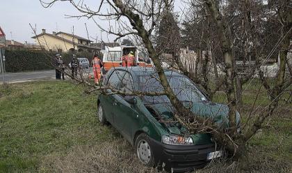 Immagine News - perde-il-controllo-dellauto-ed-esce-di-strada-automobilista-al-bufalini