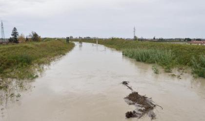 Immagine News - maltempo-bassa-romagna-ancora-con-allerta-rossa-per-marted-preoccupa-il-fiume-reno