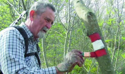 brisighella-con-il-santiero-degli-abissi-nasce-un-nuovo-percorso-al-carn