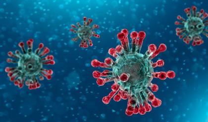 Immagine News - coronavirus-da-ravenna-a-lugo-da-bertinoro-a-rimini-nuovi-casi-ma-non-gravi