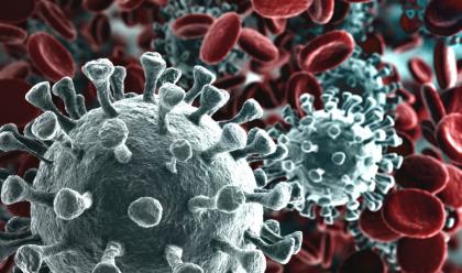 Immagine News - coronavirus-il-ministero-pubblica-il-nuovo-modello-di-autodichiarazione