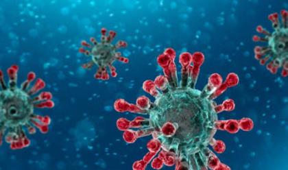 Immagine News - coronavirus-solo-121-nuovi-casi-in-e-r-420-guarigioni-ma-altri-30-decessi