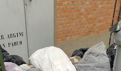 Immagine News - massa-lombarda-due-cittadini-multati-per-aver-abbandonato-rifiuti-in-strada