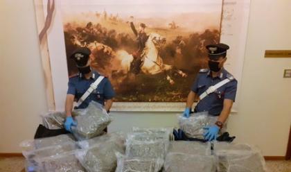 Immagine News - imola-29enne-faentino-fermato-con-alcuni-sacchi-con-20-kg-di-marijuana