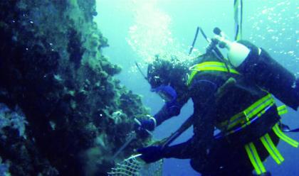 Immagine News - ravenna-il-racconto-dei-pescatori-di-cozze-subacquei-nelle-piattaformedelladriatico