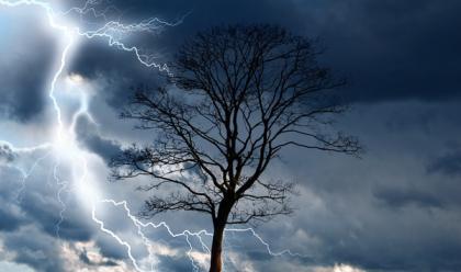 Immagine News - allerta-meteo-in-emilia-romagna-venerd-3-rischio-forti-temporali-e-vento