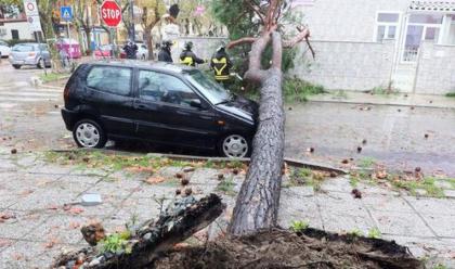 Immagine News - maltempo-tempesta-dacqua-e-vento-nel-ferrarese-durante-la-notte