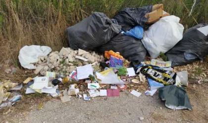 Immagine News - ravenna-abbandono-scorretto-dei-rifiuti-22-infrazioni-accertate-in-tre-mesi