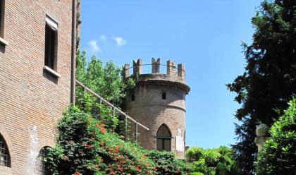 Immagine News - ravenna-il-4-settembre-riaprono-al-pubblico-il-museo-tamo-la-cripta-rasponi-e-i-giardini-pensili