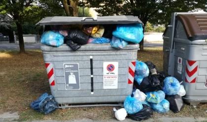 Immagine News - lugo-ben-23-multe-per-abbandono-di-rifiuti-in-strada-grazie-alle-fototrappole