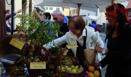 Immagine News - casola-alla-scoperta-di-quei-sapori-autoctoniautunnali-e-ritrovati-dei-frutti-dimenticati-l11-e-18-ottobre