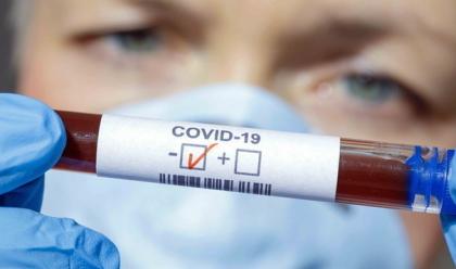 Immagine News - coronavirus-salgono-tamponi-e-nuovi-casi-193-in-e-r-di-cui-55-in-romagna-met-asintomatici