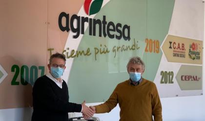 Immagine News - faenza-cambio-al-vertice-ad-agrintesa-castellari-nuovo-presidente-succede-a-raffaele-drei