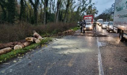 Immagine News - ravenna-albero-si-abbatte-su-via-baiona-e-blocca-la-circolazione