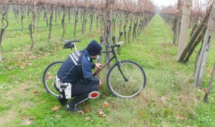 cotignola-77enne-cade-dalla-bici-portato-al-bufalini