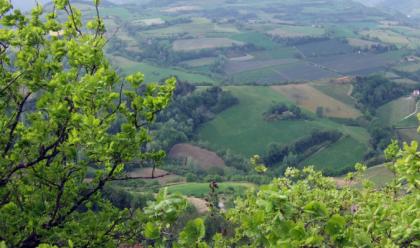 Immagine News - riolo-interventi-botanici-e-non-solo-dedicati-alle-querce-autoctone