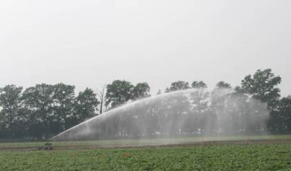 Immagine News - agricoltura-canale-emiliano-romagnolo-acqua-dal-primo-marzo