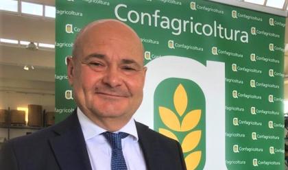 Immagine News - economia-andrea-betti-riconfermato-alla-presidenza-di-confagricoltura-ravenna