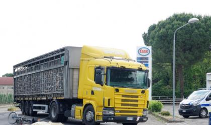 Immagine News - castel-bolognese-ciclista-79enne-muore-travolto-da-un-camion