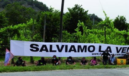 Immagine News - riolo-oltre-cento-manifestanti-protestano-contro-la-continuazionedella-cava-di-monte-tondo