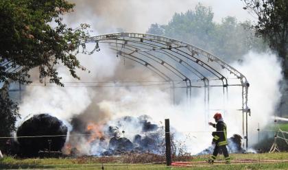 Immagine News - voltana-incendio-distrugge-capannone-messi-in-salvo-gli-animali-al-suo-interno