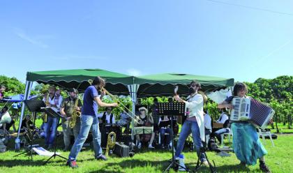 Immagine News - castel-raniero-musica-nelle-aie-a-fine-agosto