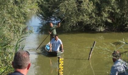 Immagine News - ravenna-svuotamento-in-valle-mandriole-per-rischio-botulino-per-ora-73-animali-morti-e-70-intossicati