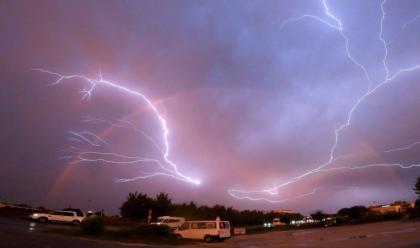 Immagine News - maltempo-in-romagna-nel-ravennate-forti-piogge-e-allagamenti-qualche-albero-caduto