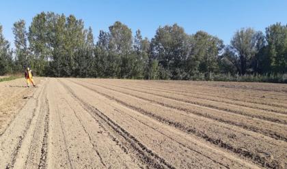 ravenna-mater-naturae-il-progetto-della-coop.-sociale-san-vitale