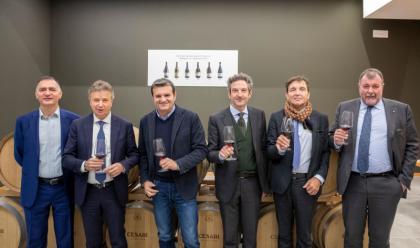 Immagine News - faenza-il-gruppo-caviro-investe-20-milioni-di-euro-in-una-cantina-a-fumane-nel-cuore-della-valpolicella-classica