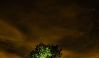 faenza-il-fotografo-isacco-emiliani-sta-per-pubblicare-un-libro-sugli-alberi-e-lesperienza-vissuta-nelle-foreste-col-nonno-tonino