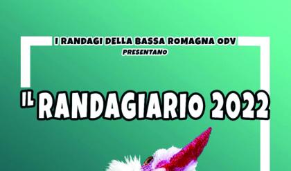 Immagine News - provincia-banchetti-e-nuovi-calendari-2022-le-associazioni-che-seguono-cani-e-gatti-meno-fortunati-pronte-per-le-festivit