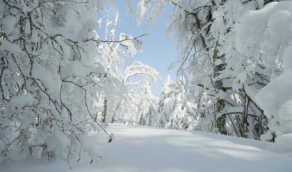 maltempo-in-romagna-per-domenica-previste-nevicate-sia-in-collina-che-nelle-citt
