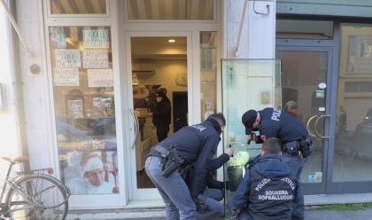 Immagine News - ravenna-ladri-in-azione-nel-borgo-s.rocco