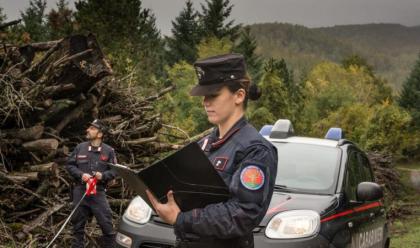Immagine News - delta-del-po-controllo-dei-carabinieri-forestali-12-persone-denunciate