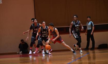 Immagine News - basket-a1-donne-la-capolista-schio--troppo-forte-per-le-work