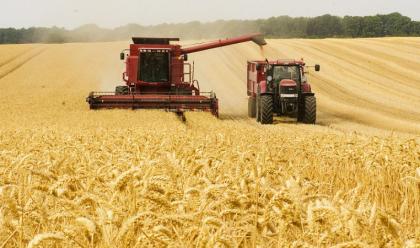 Immagine News - guerra-russia-ucraina-il-prezzo-del-grano-e-altri-cereali-alle-stelle-36-lallarme-di-coldiretti
