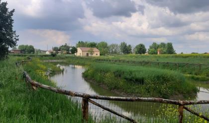 Immagine News - bagnara-un-parco-dove-cera-lex-discarica