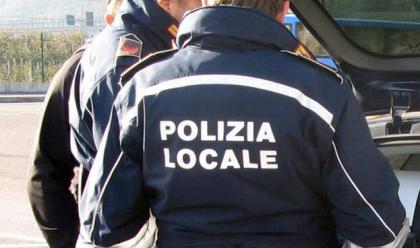 Immagine News - milano-marittima-due-agenti-della-polizia-locale-feriti-da-uno-scippatore-in-fuga